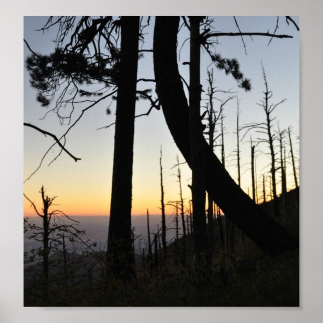 Poster Silhouette (Devant)