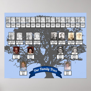 Poster Silhouette Arbre Photo Deux Arbres Familiaux