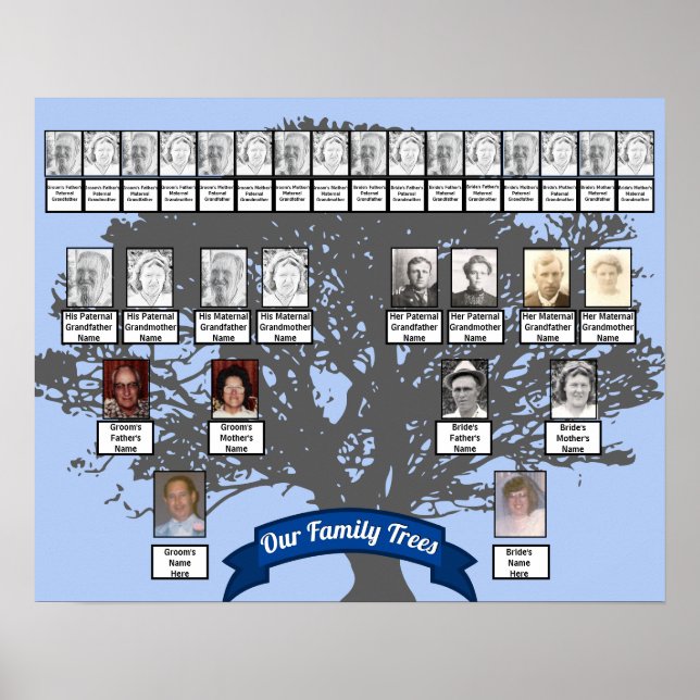 Poster Silhouette Arbre Photo Deux Arbres Familiaux (Devant)