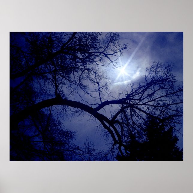 Poster Silhouette Arbre Taille Mur (Devant)