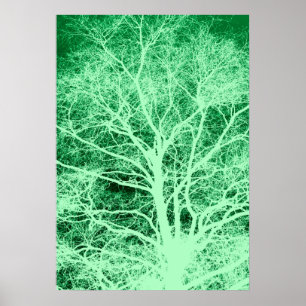 Poster Silhouette d'arbre vert
