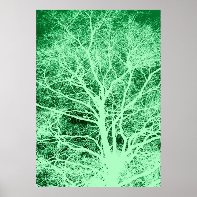 Poster Silhouette d'arbre vert (Devant)