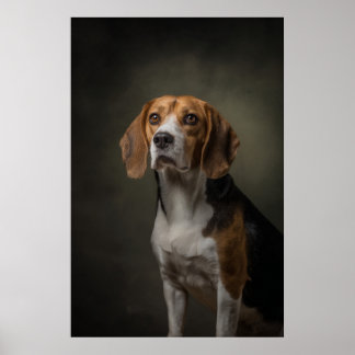 Poster Silhouette de chien élégant
