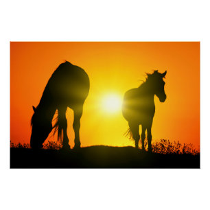 Poster Silhouette de deux chevaux au coucher du soleil