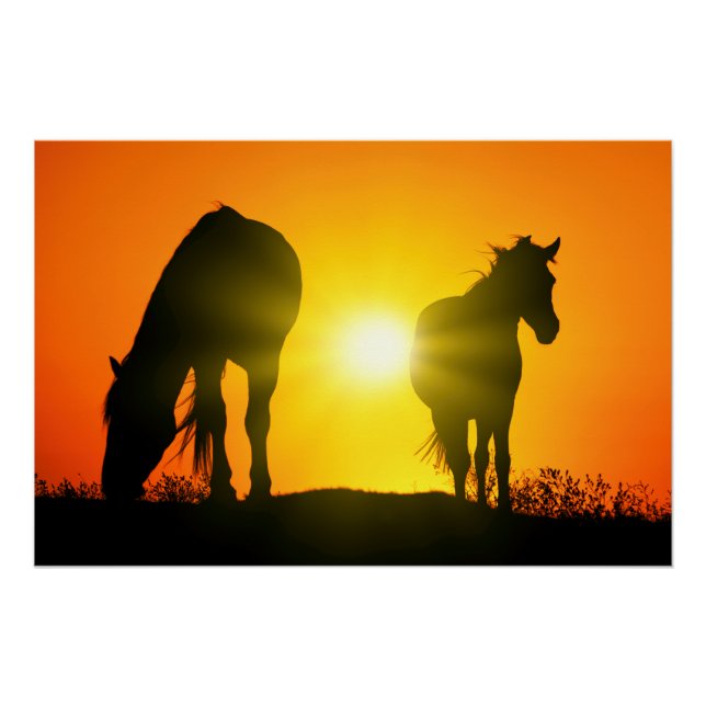 Poster Silhouette de deux chevaux au coucher du soleil (Devant)