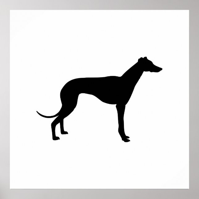 Poster Silhouette de Greyhound (Devant)