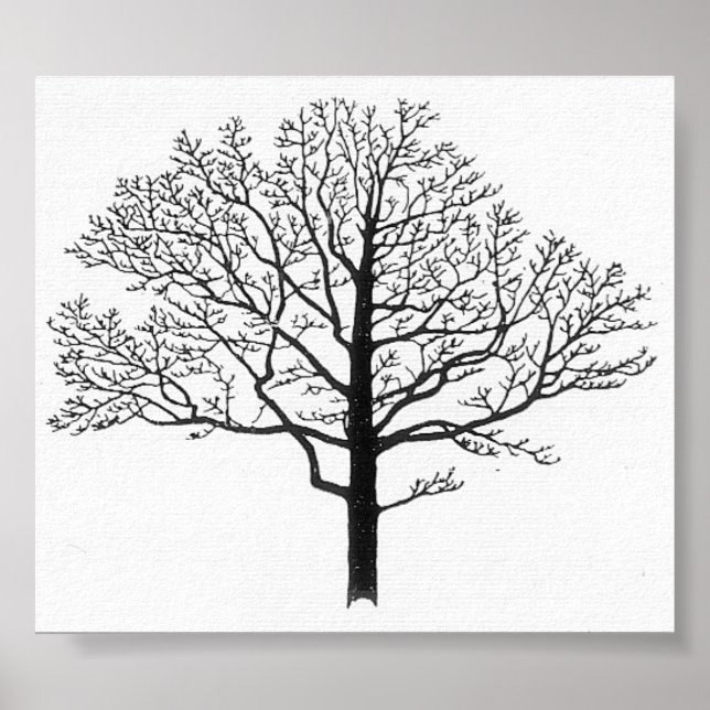 Poster Silhouette de l'arbre (Devant)
