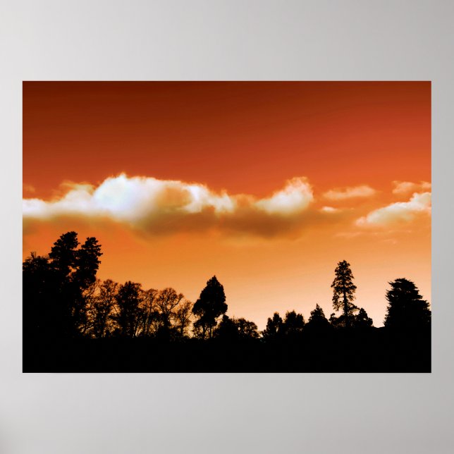 Poster Silhouette de requin (Devant)