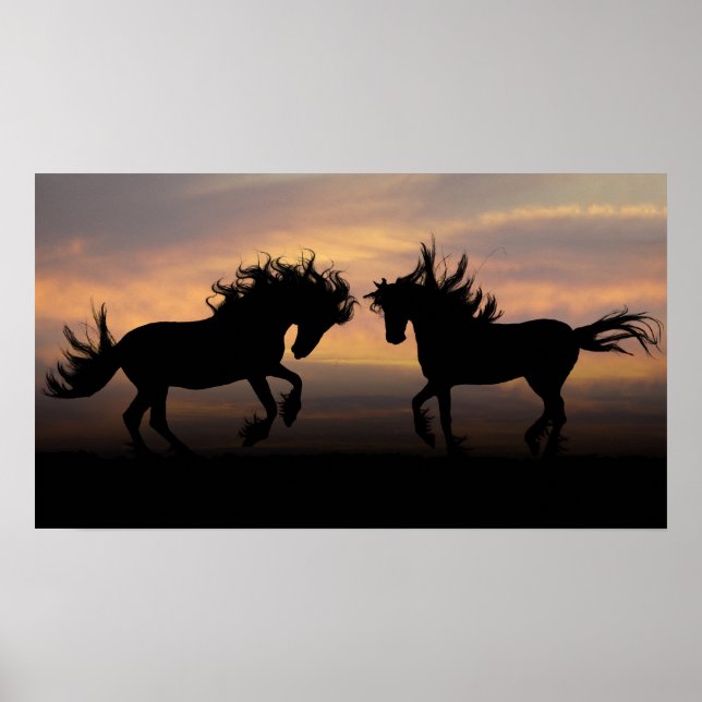 Poster Silhouette des chevaux sauvages (Devant)