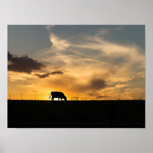 Poster Silhouette du coucher du soleil de bétail