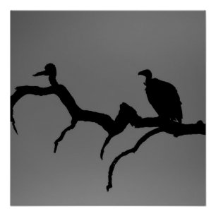 Poster Silhouette vautour