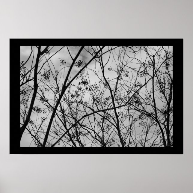 Poster Silhouettes (Devant)