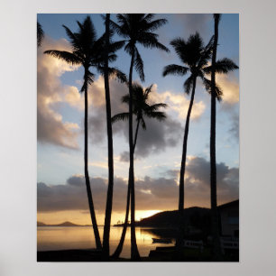 Poster Silhouettes de palmiers à Hawaï