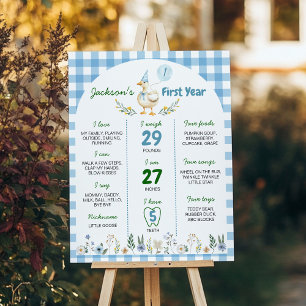 Poster Silly Goose 1er Anniversaire de la fête