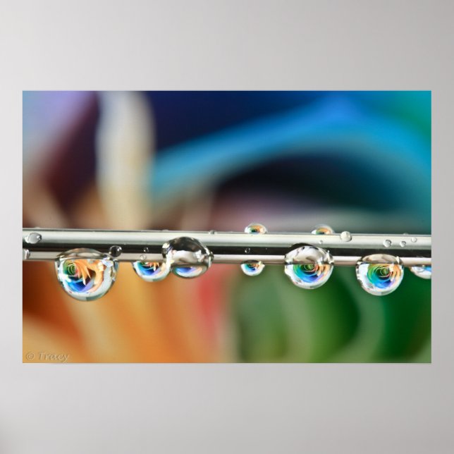 Poster Silver Drops (Devant)