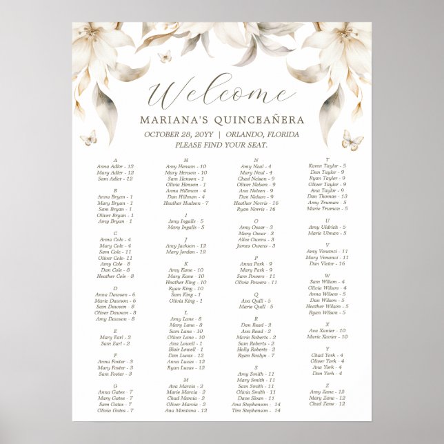 Poster Silver & Gold Elegant Winter Quinceañera (Devant)