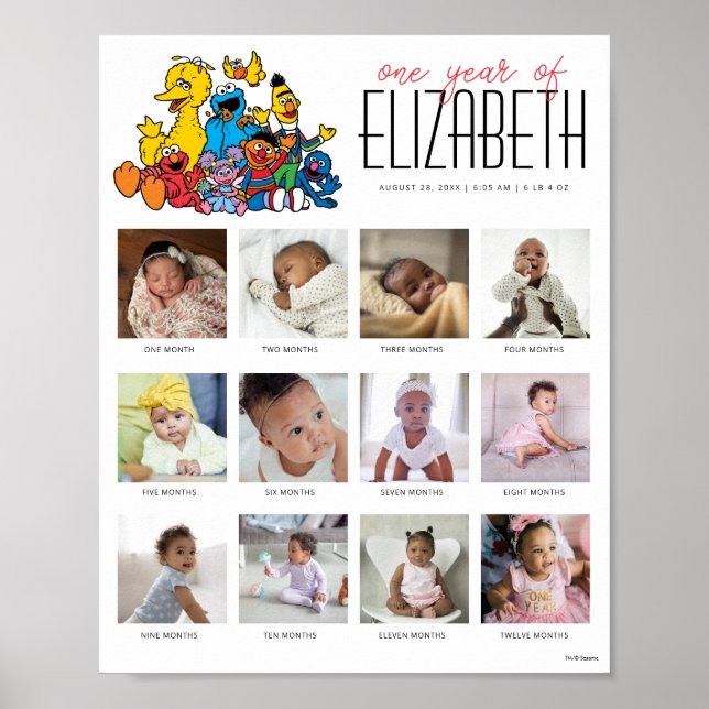 Poster Simple rue Sésame Une année de 12 mois (Devant)