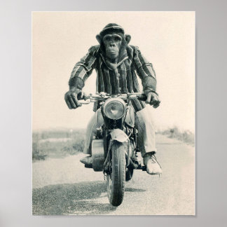 Poster Singe de moto, Ape sur moto, Vintage
