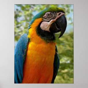 Poster Sitting For You