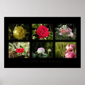 Poster six petites photos roses