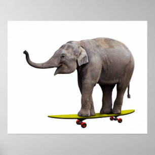 Poster Skateboard éléphant