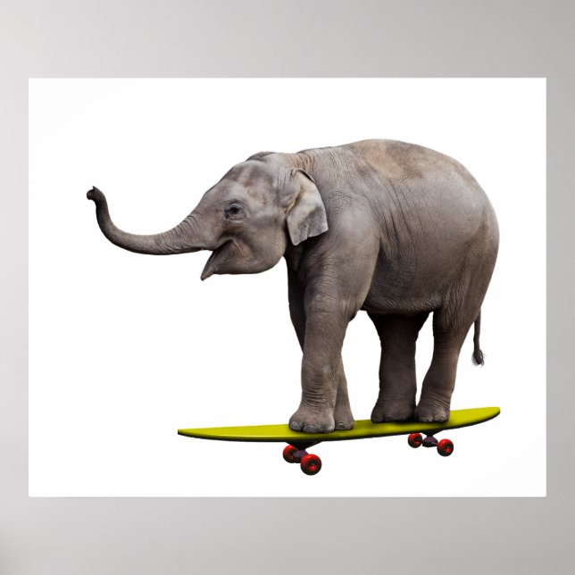 Poster Skateboard éléphant (Devant)