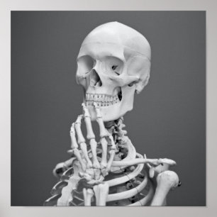 Poster Skeleton Skeleton Halloween gris noir et blanc