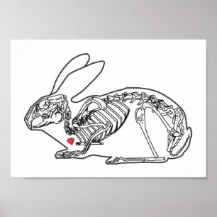 POSTER SKELY BUN