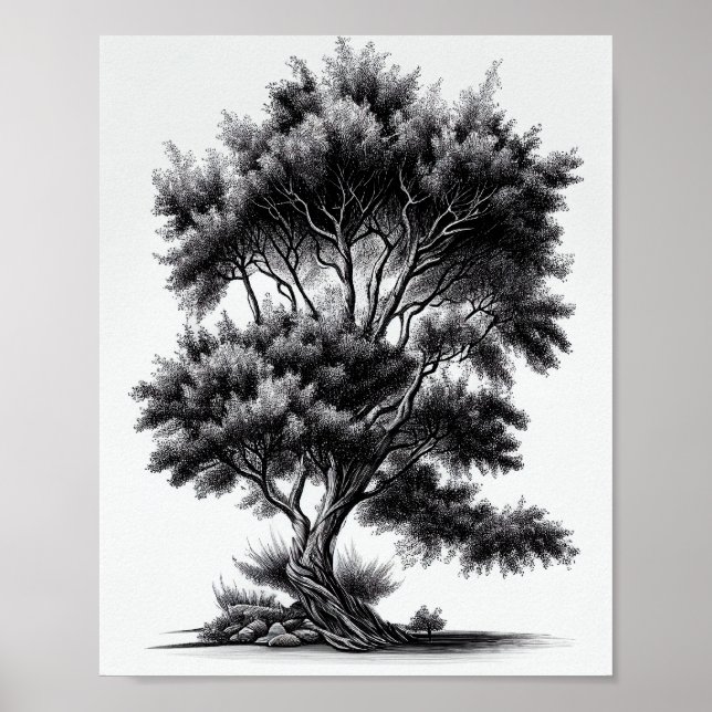 Poster Sketch Détaillé De L'Arbre Noir Et Blanc (Devant)