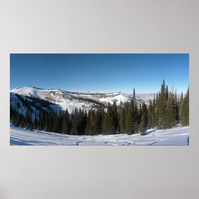 Poster Ski Arbre (Devant)