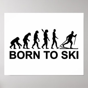 Poster Ski de fond d'évolution