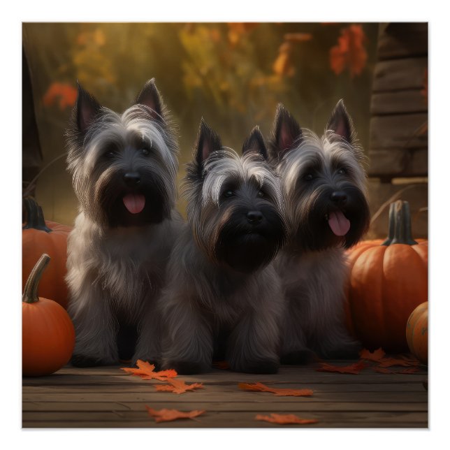 Poster Skye Terrier Chiot Automne Citrouille délice (Devant)