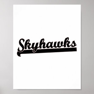 Poster Skyhawks Lacrosse Volleyball Skydiving Basket