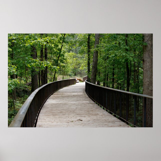 Poster Slightly Curved (Devant)