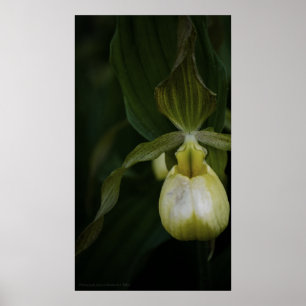 Poster Slipper 2 Jaune