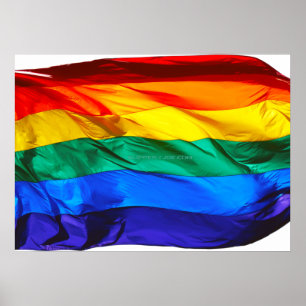 Poster SlipperyJoe Gay pride Drapeau orteils de la vague 