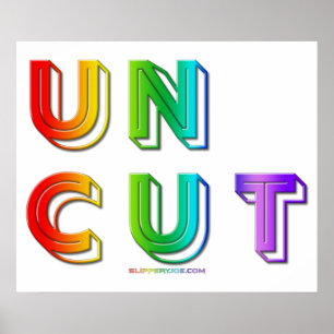 Poster SlipperyJoe non coupé arc-en-ciel de mots couleurs