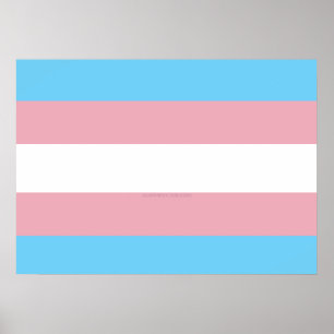 Poster SlipperyJoe's transgenre pride drapeau de la diver