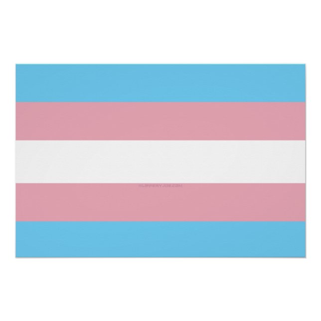 Poster SlipperyJoe's transgenre pride drapeau de la diver (Devant)
