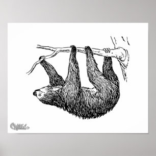 Poster Sloth