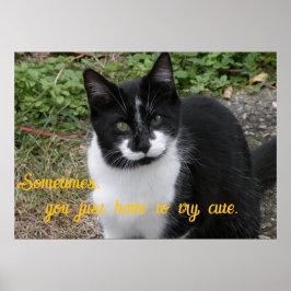 Poster Smiler says- Sometimes, you just have to try cute.