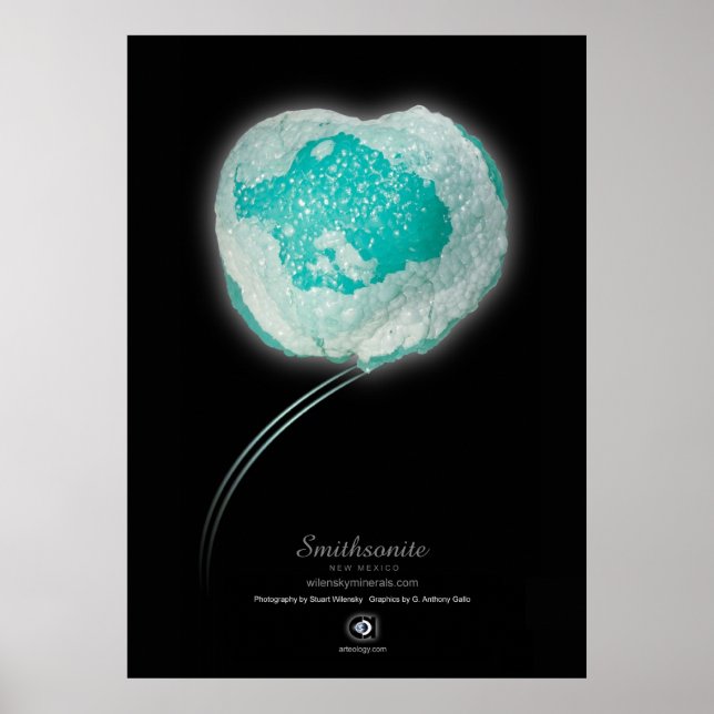 POSTER SMITHSONITE (Devant)