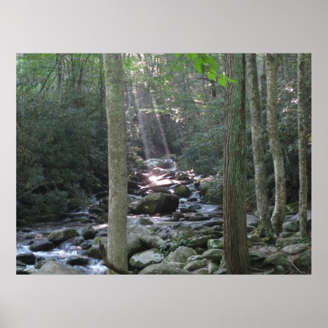 Poster Smokey Mountain Stream (Devant)
