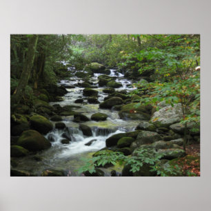 Poster Smokey Mountains