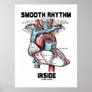Poster Smooth Rhythm Inside (Medical Anatomical Heart)