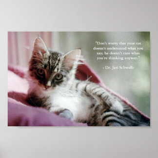 Poster Smug Kitten