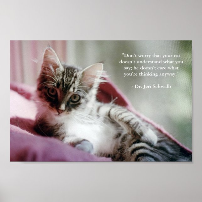 Poster Smug Kitten (Devant)