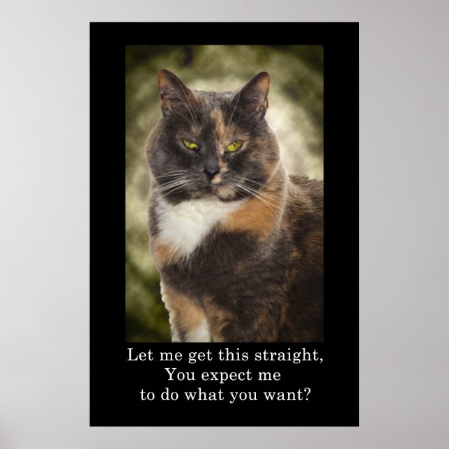 Poster Smug Kitty - Faites Ce Que Vous Voulez? (Devant)