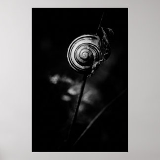 Poster sn