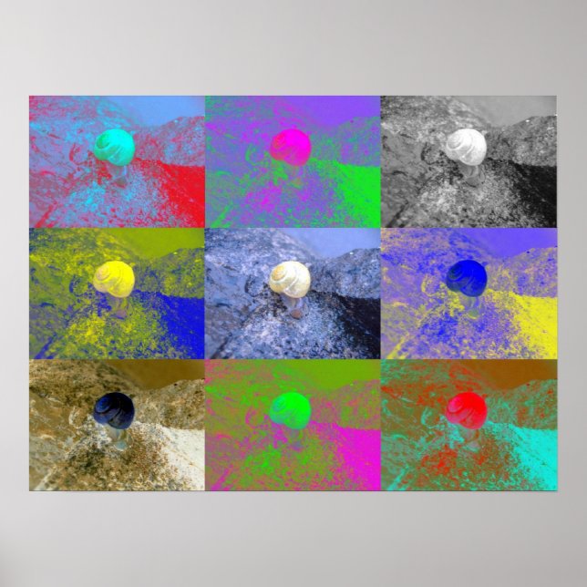 Poster Snail Cepaea Pop Art (Devant)
